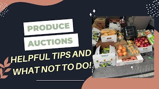 Produce Auctions—Helpful Tips And What NOT To Do