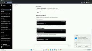 python command flags
