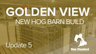 The Golden View Hog Barn - Sow Gestation Pen Tour - Update 5