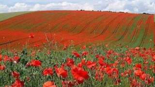 The Last Post & Two Minutes Silence