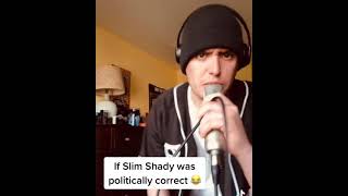 If Eminem was politically correct