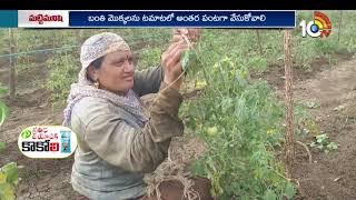 Matti Manishi Full Episode | మట్టి మనిషి | Agriculture Tips | 03-02-2024 | 10TV Agri