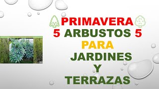 5 arbustos de jardín.