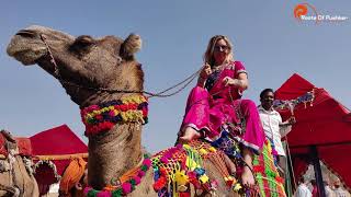 Bridal \u0026 Groom Welcome Lahariyo GHOOMAR Anita Dangi | Best Rajasthani Folk Song \u0026 Dance 9414415287