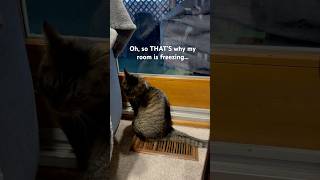 So THAT’S Why My Room Is Freezing… ❄️🐱 #FunnyCat