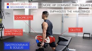 The Best Science-Based Leg Workout for Growth (Glutes/Quads/Hams)