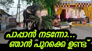 Paramekkavu Kasinathan-ഇവൻ നാളെയുടെ പൂരനായകൻ