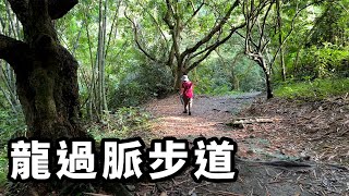 龍過脈森林步道｜林內龍過脈步道｜李媽媽私房景點系列｜新手登山步道｜開復廟｜ 雲林縣林內