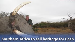 Sad News as Southern African Countries Agree to Push for a Lift on Ivory Trade