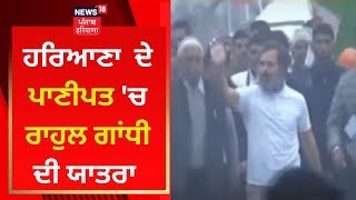 Haryana ਦੇ ਪਾਣੀਪਤ 'ਚ Rahul Gandhi ਦੀ ਯਾਤਰਾ | Bharat Jodo Yatra | News18 Punjab