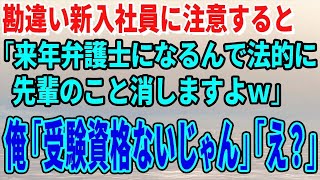 【スカッとする話】勘違い新入社員に注意すると「来年弁護士になるんで法的に先輩のこと消しますよｗ」俺「受験資格ないじゃん」「え？」【修羅場】