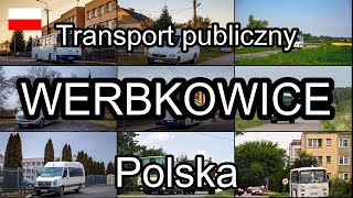 Werbkowice, Polska. Transport publiczny