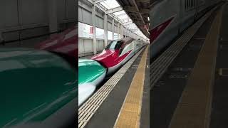 Tohoku Shinkansen Nasuno 280 departed from platform 11 at koriyama station