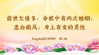 【卢台长精彩录音开示】前世欠债多；命根中有两次婚姻；患白癜风；身上有女的灵性 Zongshu20130309  00:46 | 观世音菩萨心灵法门