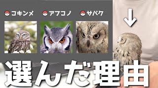 どうしてサバクコノハズクにしたの？？