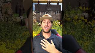 Need A Flagstaff Realtor