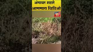 अंगावर शहारे  आणणारा व्हिडिओ #news #viralvideo #viralnews #worldrecord #worldrecords #shorts