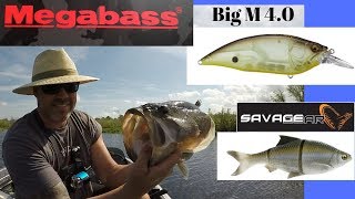 Trying out a couple New Big Baits. Megabass Big M 4.0