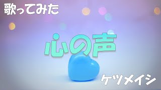 【歌ってみた】心の声 / ケツメイシ