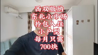 【小龙在版纳】西双版纳，小户型，只需700块。2024-4-27