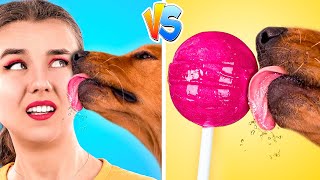 Gato vs Perro / Cómo los Animales Ven a la Gente
