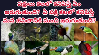 పక్షులు కలలో కనిపిస్తే|కలలో పక్షులు కనిపిస్తే | birds dreams analysis Telugu| pakshulu kalalo vasthe