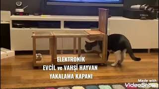 Elektronik Kedi, Köpek, Kuş Yakalama Kapanı  (cat dog catcher catching)