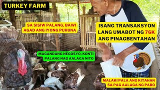 MALAKI PALA ANG KITAHAN SA PABO(TURKEY)FARMING /AGRIBUSINESS HOBBY NA KUMIKITA PA