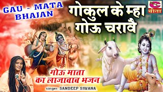Gau Mata Bhajans _ गोऊ माता का लाजवाब भजन | गोकुल के म्हा गोऊ चरावै | Sadeep Siwana | गौ माता भजन