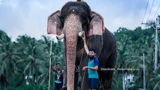 💖MAMBI AASHAN \u0026 OLARIKKARA KALIDASAN💕💕