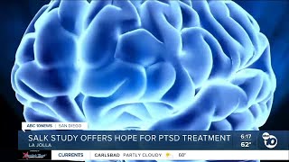 In-Depth: Salk Institute study gives hope for future PTSD treatment