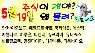 [웃지] 5월19일 관심주 - SK바이오랜드, 에코프로비엠, 국제약품, 에스맥, 에쎈테크,이루온,피엔티,슈프리마,유비쿼스,센트랄모텍,일진다이아,대우부품,티움바이오