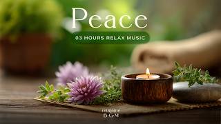 3 Hours Calm Relaxing Music 🎶 Spa & Massage Therapy | Heal for Body & Soul