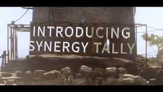 Introducing Synergy Tally! (RC WINNER)