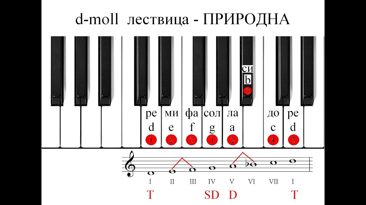 D-moll Lestvica - Prirodna - YouTube