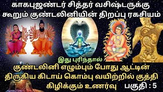 மகான் காகபுஜண்டர் குண்டலினியை பற்றி நாம் அறியாத உண்மையான விளக்கம் கூறுகிறார் / SIDDHAR KAGABUJANDAR