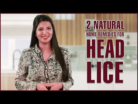 HOW TO GET RID OF HEAD LICE & Nits – Natural Treatments & Removal HOW TO GET RID OF HEAD LICE & Nits – Natural Treatments & Removal