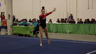 Claire Hayashi Floor California Classic 2023 Wildfire Gymnast Level 9