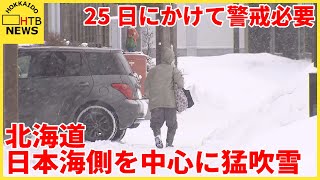 北海道　日本海側を中心に猛吹雪　２５日にかけて警戒必要