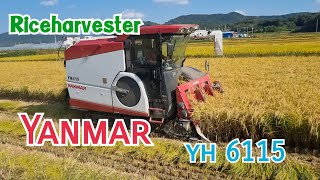 รถเกี่ยวข้าว Yanmar yh 6115