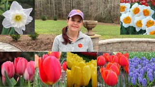 Planting Proven Winners Spring Bulbs | Gardening with Creekside