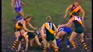 1986 VFL Round 15 - North Melbourne vs Richmond