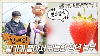 딸기가 좋아서 귀농했습니다 5년 차 청년농부 허준🍓