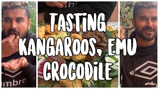 A sneak peek to aboriginal culture and tasting kangaroo meat- MALAYALAM TRAVEL VLOG NEW