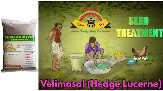 வேலிமசால் / Velimasal / Hedge Lucerne (Desmanthus virgatus) - Seed Treatment Procedure in Tamil