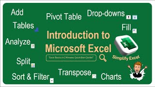 Excel Basics: Learn the Essentials in 2 Minutes!