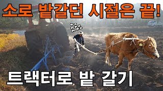 트랙터로 밭 갈기 작업 트랙터 쟁기작업 - tractor plow plow