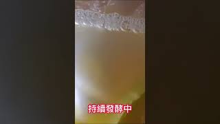 鳳梨苦瓜檸檬蜂蜜酵素