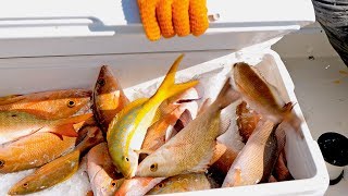 Fishing for Christmas Dinner in the Bahamas using Hand Lines - 4K