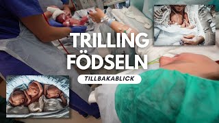 Återblick Trillingarna kommer till världen - Neonatalsjukvård